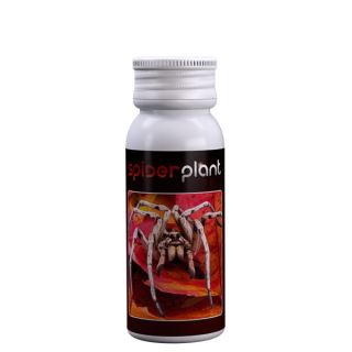 5217 - Spider Plant 15 ml. Agrobacterias