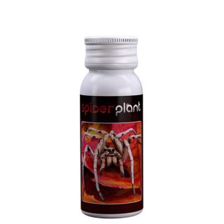 Spider Plant 15 ml. Agrobacterias