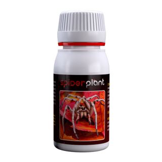 Spider Plant 60 ml. Agrobacterias