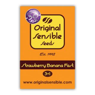 Strawberry Banana Fast  1 u. fem. Original Sensible