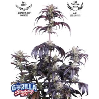 26791 - Strawberry Gorilla Auto RF3   3 u. fem. FastBuds Seeds