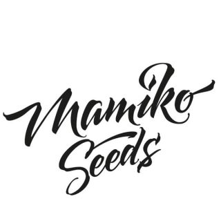 25258 - Sueños de Holanda 3 x 3u. fem Mamiko Seeds