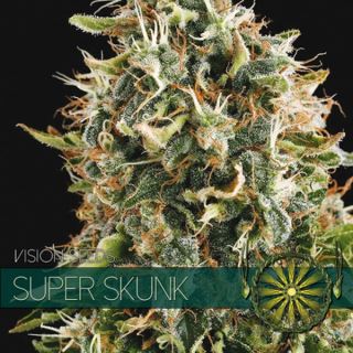 9230 - Super Skunk 3 u. fem. Vision Seeds