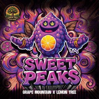 25737 - Sweet Peaks 3 ud. fem Elev8 Seeds