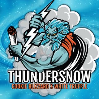 Thundersnow 3 ud. fem Elev8 Seeds