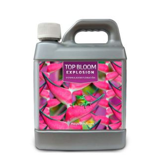 4053 - Top Bloom Explosion  1 lt. Kayasolutions