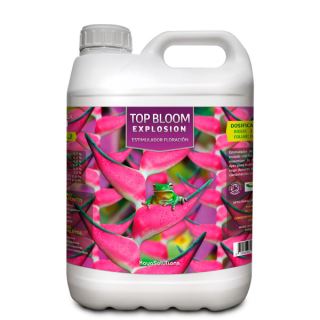 4054 - Top Bloom Explosion  5 lt. Kayasolutions