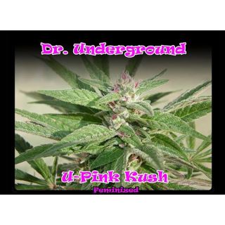 U-Pink Kush 2 u. fem. Dr Underground