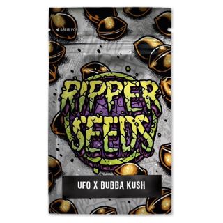14392 - UFO x Bubba Kush 3 u. fem. Ed. Lim. Ripper Seeds