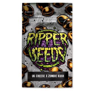 15592 - UK Cheese x Zombie Kush 3 u. fem. Ed. Lim. Ripper Seeds