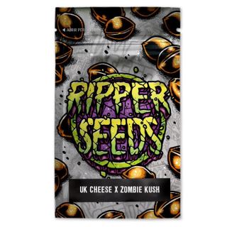 UK Cheese x Zombie Kush 3 u. fem. Ed. Lim. Ripper Seeds