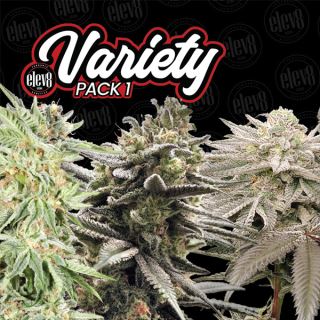 Variety Pack #1 - 6 ud. fem Elev8 Seeds