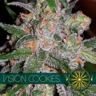 Vision Cookies 3 u. fem. Vision Seeds