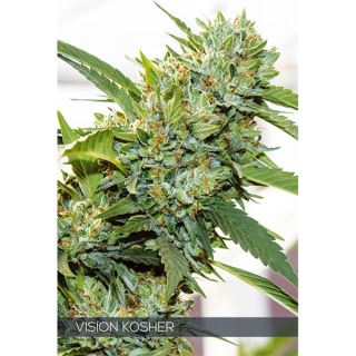 9235 - Vision Kosher 3 u. fem. Vision Seeds