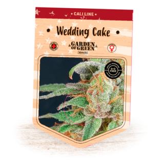 13668 - Wedding Cake  1 u. fem. Garden of Green Seeds