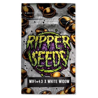 14400 - Wifi 43 x White Widow 3 u. fem. Ed. Lim. Ripper Seeds