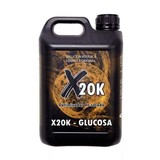 24572 - X20K - Glucosa 5L