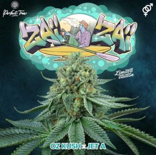 26179 - ZAI ZAI 3 u. fem Perfect Tree