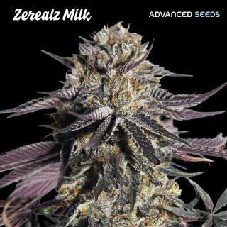 Zerealz Milk  25 u. fem. Advanced Seeds