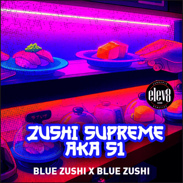 Zushi Supreme 6 ud. fem Elev8 Seeds Zushi Supreme 6 ud. fem Elev8 Seeds