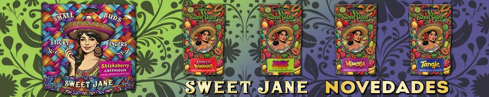 Sweet Jane