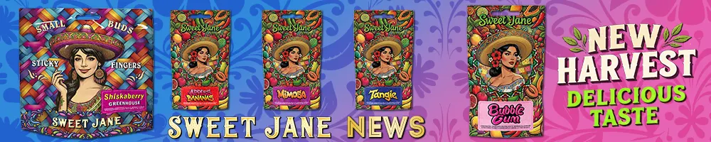 Sweet Jane