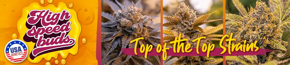 High Speed Buds - Top of the top strains