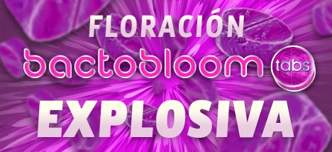 Bactobloom Tabs - Floración explosiva