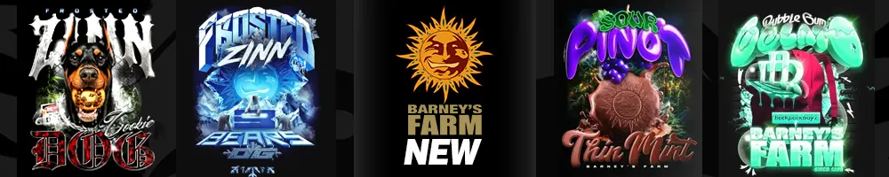 Novedades Barney's