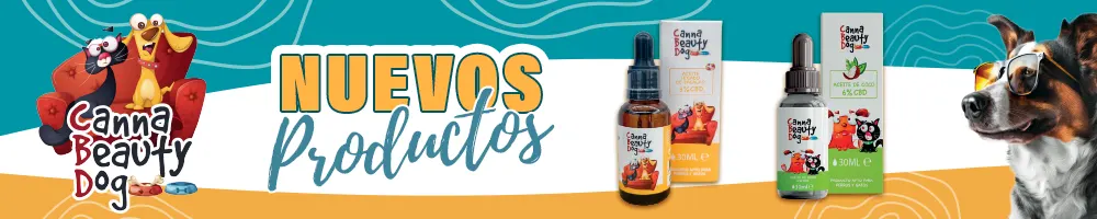 Canna Beauty Dog 2025