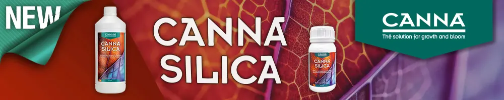 Canna Silica
