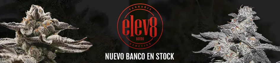 Elev8