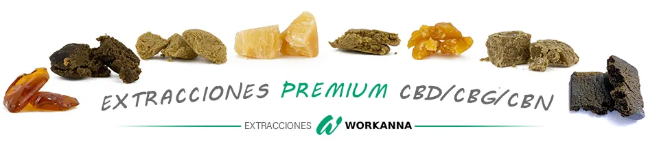 Extracciones Workanna