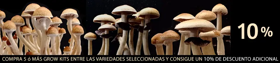 nuevos micelios