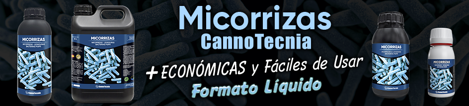 Micorrizas Cannotecnia
