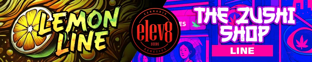 New Lines Elev8 Seeds