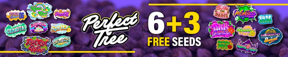 Promoción Perfect Tree 6+3 Free Seeds