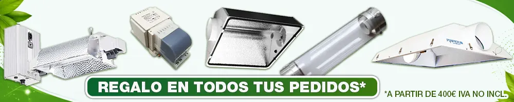 Regalos en tus pedidos