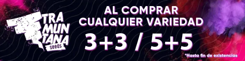 Promoción Tramuntana 3+3 y 5+5