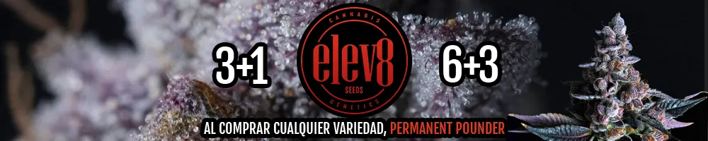 banner Elev8 Seeds