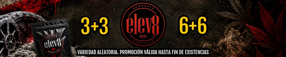 Promo Elev8