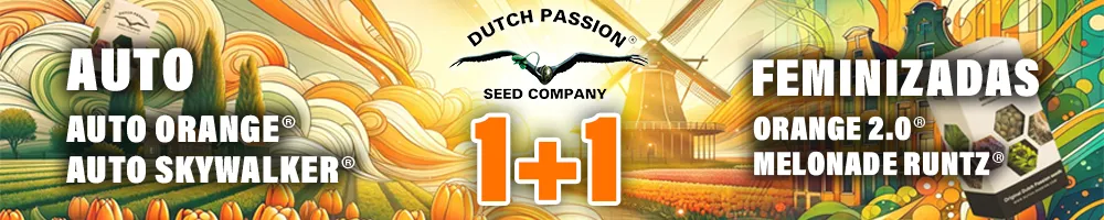 Dutch Passion