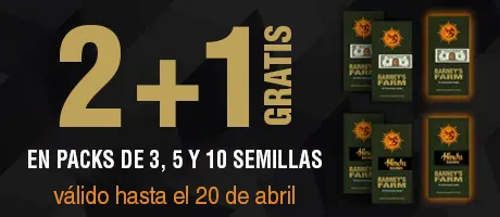 Promoción Barney