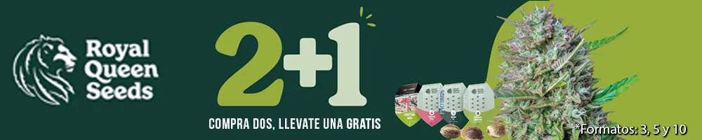 promoción Royal Queen